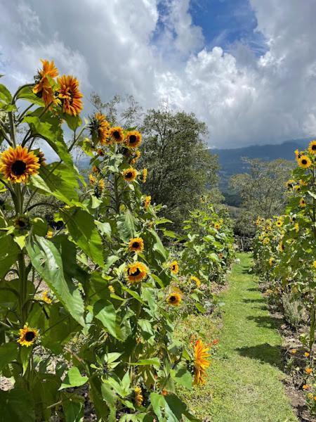 Glamping Corazon Tente de luxe Arcabuco