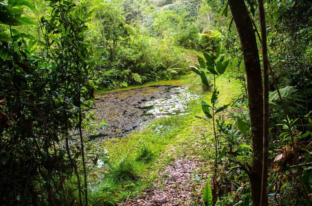 Tente de luxe Glamping Corazon Arcabuco