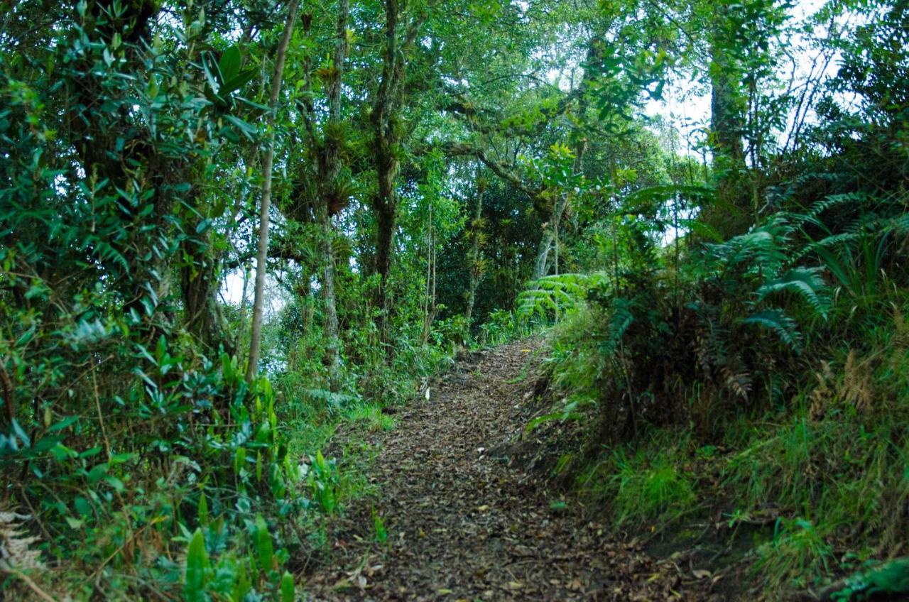 Tente de luxe Glamping Corazon